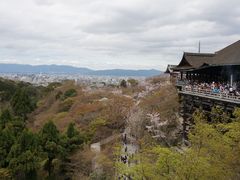 景点-有栖山 清光院 清水寺