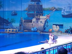 -华夏文旅海洋公园