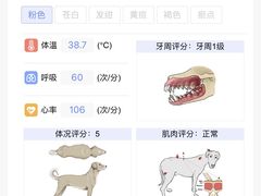 -悦宠凯宝动物医院·牙科·皮肤科(朝阳北路店)