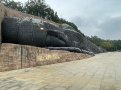 -三水森林公园
