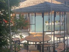 -蘑统田下·野生菌火锅