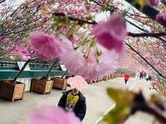 -观澜湖生态运动公社