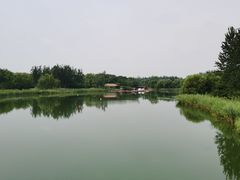 -大兴滨河森林公园