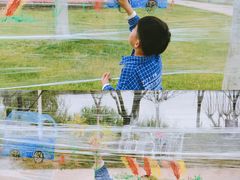 -杭州湾海上花田景区