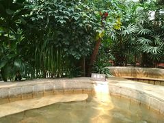 -南宫温泉水世界