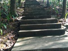-广州市帽峰山景区