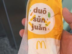 -麦当劳(高铁南站店)