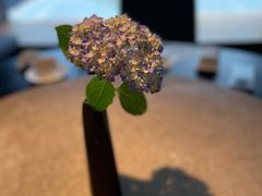 -木守西溪溪隐餐厅