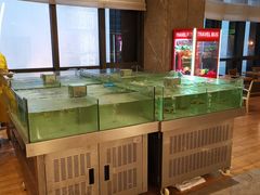 水产区-解放碑威斯汀酒店-知味国际美食餐厅