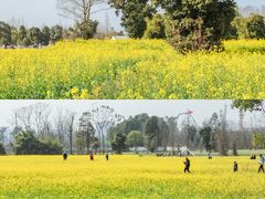 -蜀绣公园