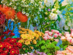 -循礼门鲜花花市(武汉循礼门店)