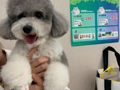 -安安宠医·臻爱宠物医院·宠保定点(营门口路分院)