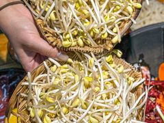 -阳阳老火锅(小南门店)