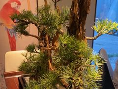 -顺峰(农展馆店)