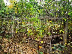 -淄博聊斋城景区