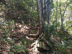 -鸡枕山