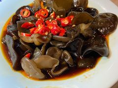 凉拌木耳-探窝·竹笙椰子鸡(杨箕店)