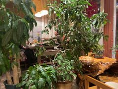 -慢丽江·云南野生菌土鸡锅(付家庄店)