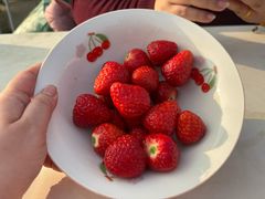 -小鱼草莓采摘园农家乐·小鱼餐厅