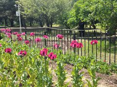 -国家植物园南园