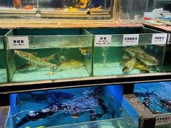 -牛头鱼庄·地道广西菜(西明店)