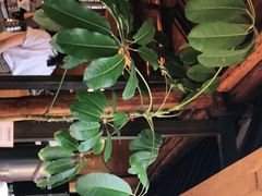 -VOYAGE COFFEE(北锣鼓巷店)