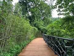 -重庆云阳龙缸景区