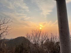 -午潮山国家森林公园