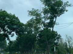 -三圣花乡旅游区