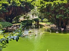 -九龙公园