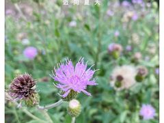 -北运河水利风景区