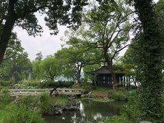 -杭州西湖柳莺里酒店