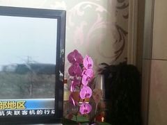 -FEI FEI FLOWER鲜花店·气球派对·宝宝宴布置(虹口德必运动Loft店)