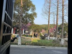-湾里人家(旺山景区店)