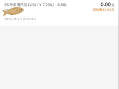 -中国石化(杨思路店)