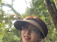 -七仙岭温泉国家森林公园