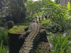 -四季酒店下午茶