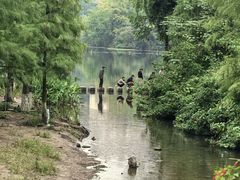 -重庆彩云湖湿地公园