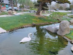 -罗红摄影艺术馆