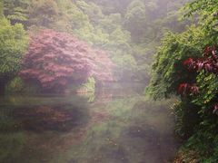 iphone_upload_pic-九溪烟树