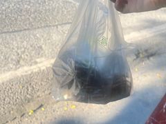 -清泉馆(望江路店)