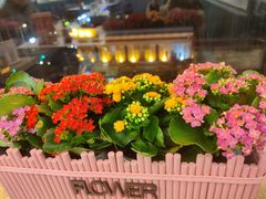 -徐记小怪兽肉蟹煲(中央大街店)