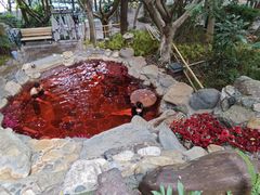 -湖泉半山温泉