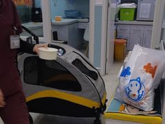 -纳吉亚猫专科动物医院·北北分院
