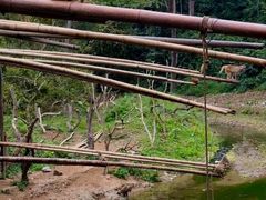 -西双版纳原始森林公园
