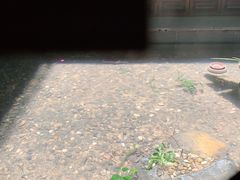 -归觅·西关小姐人文艺术馆(荔枝湾店)