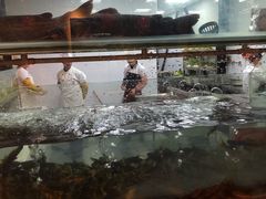 -苗岭侗寨(金阳店)