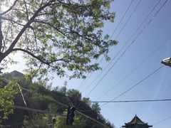-兰山公园