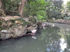 -兰亭风景区