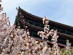 -北京明城墙遗址公园
